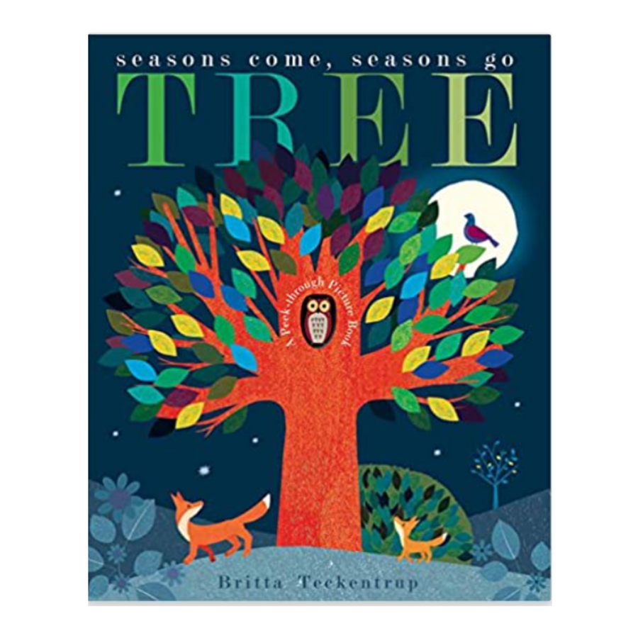 TREE : Seasons Come, Seasons Go | 木の四季を韻で楽しむ