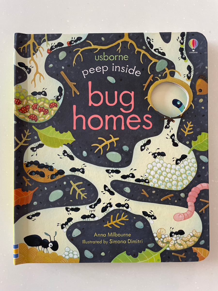 Peep inside - bug homes｜虫のおうちをのぞいてみよう！